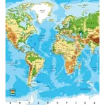 DIMEX MS-3-0261 225 x 250 cm