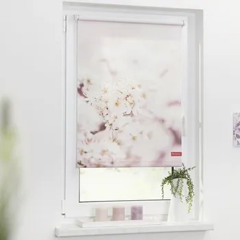 Roleta propouštějící denní světlo 70x150cm Lístky třešně