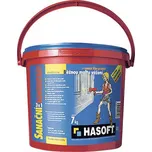 Přísada do malty HASOFT Sanační koncentrát 3 v 1 7 kg
