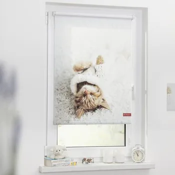Roleta zatemňovací 60x150cm Spící kočka