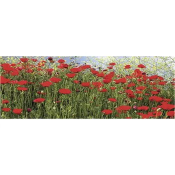 Obraz Obraz na plátně 2.809.100 vlčí máky 50x150cm