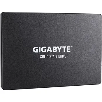 SSD disk Gigabyte SSD 256 GB (GP-GSTFS31256GTND)