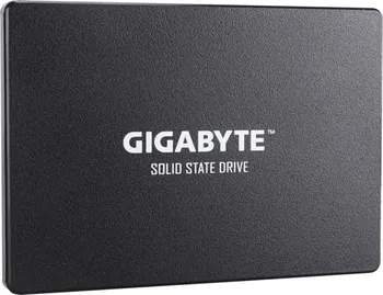 SSD disk Gigabyte SSD 256 GB (GP-GSTFS31256GTND)