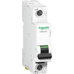 Schneider Electric A9N61511