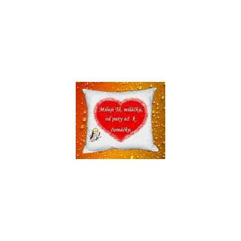 Povlak na dekorativní polštářek Foto Povlak na polštářek k valentýnu č.10