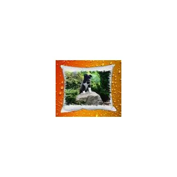 Povlak na polštářek Foto Povlak na polštářek se psem č. 19