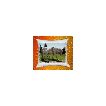 Povlak na polštářek Foto Povlak na polštářek s koněm č.39