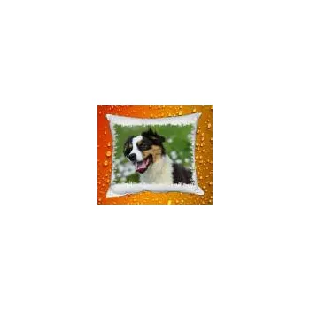 Povlak na polštářek Foto Povlak na polštářek se psem č. 08