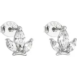 Evolution Group 11110.1