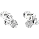 Evolution Group 11138.1