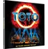 Zahraniční hudba 40 Tours Around The Sun - Toto [3LP]