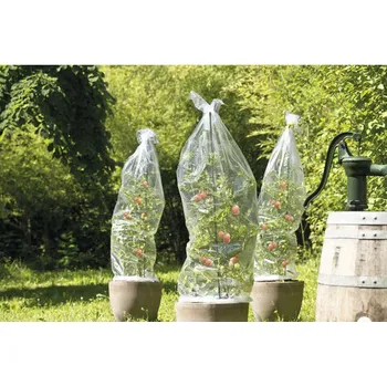 Fólie na rajčata FloraSelf 10x0,65 m průhledná