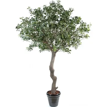umělá květina Pittosporum strom, 260cm (umělý strom)