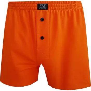 Pánské spodní prádlo Pánské Trenkoslipy FOLTÝN PTS 55 Velikost: 4XL