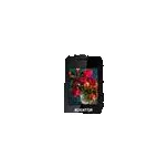 ALIGATOR D200 Dual sim bílo-černý + pouzdro