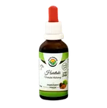 Salvia Paradise Haritaki AF tinktura