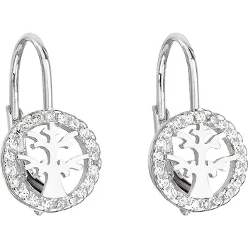 Náušnice Evolution Group EG2213