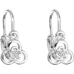 Evolution Group 11171.1