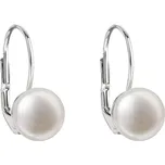 Evolution Group 21009.1