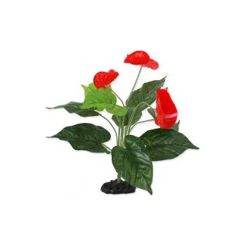 Teraristika Rostlina REPTI PLANET kvetoucí Anthurium 40 cm