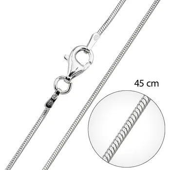 Řetízek Evolution EG0004-42 42 cm