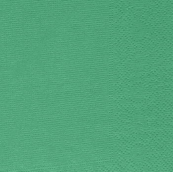 Papírový ubrousek Ubrousky 2V zelené 40 x 40 cm (50 ks)