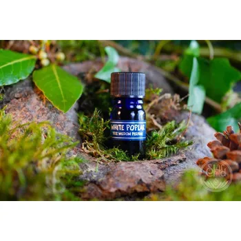 Tělový olej PARFÉM TREE WISDOM BÍLÝ TOPOL