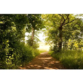 Fototapeta DIMEX MS-5-0093 375 x 250 cm lesní cesta