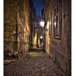 DIMEX MS-3-0043 225 x 250 cm