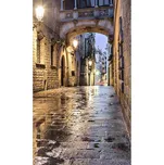 DIMEX MS-2-0048 150 x 250 cm starověká…