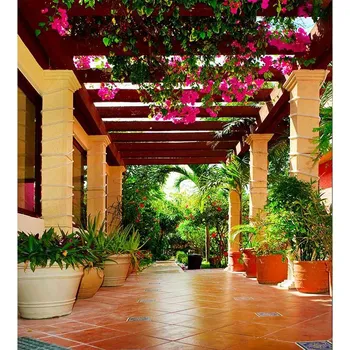 DIMEX MS-3-0187 225 x 250 cm, terasa