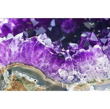 Fototapeta DIMEX MS-5-0181 375 x 250 cm