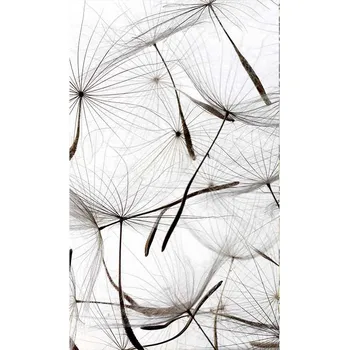 Fototapeta Dimex MS-2-0122 150 x 250 cm