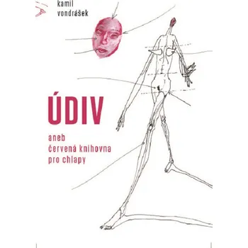 Údiv - Kamil Vondrášek (E-Kniha)