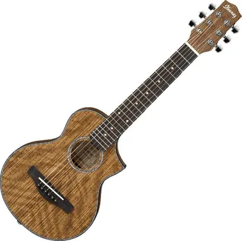Akustická kytara Ibanez EWP14WB Open Pore Natural