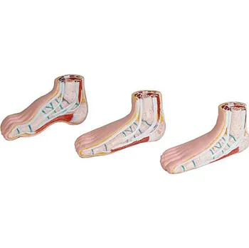 Erler-Zimmer Miniaturní set chodidel, 3 ks