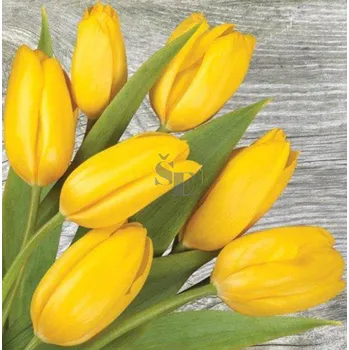 Papírový ubrousek Papírové ubrousky velikonoční Tulipány žluté 014 33/3/20, Stil