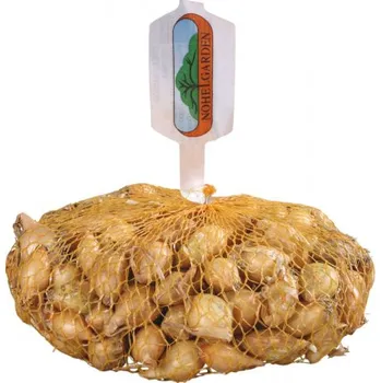 Cibulovina Nohel Garden Sturon cibule 500 g