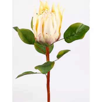 umělá květina Protea umělá 66cm krémová (28375HSR/SAM)