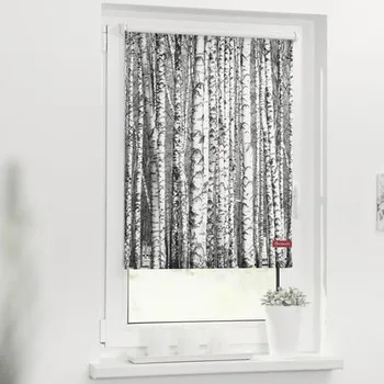 Roleta propouštějící denní světlo 70x150cm Břízy