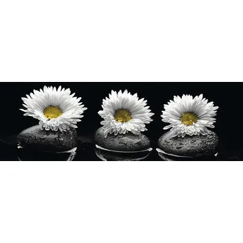 Obraz Obraz na plátně 8.301-9.30 kopretiny 50x120cm