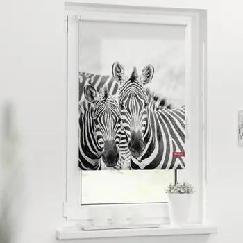 Roleta Roleta propouštějící denní světlo 80x150cm Zebra