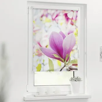 Roleta propouštějící denní světlo 45x150cm Magnolie