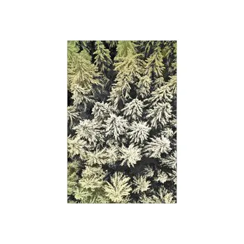 Rám na obraz Fotorámeček dřevěný, Modern, dub 13x18 cm