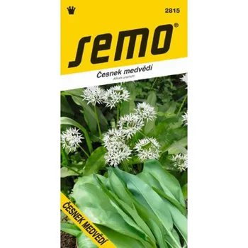 Semeno SEMO Medvědí česnek 1 g