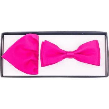 Motýlek Assante 90229