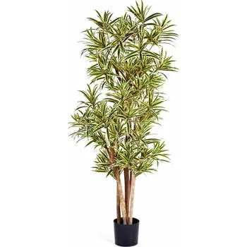 umělá květina Luxusní umělá palma FR DRACAENA REFLEXA bílý okraj, 150 cm