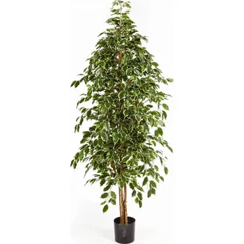 umělá květina Luxusní umělý strom NATURAL EXOTICA STROM bílý okraj, 180 cm