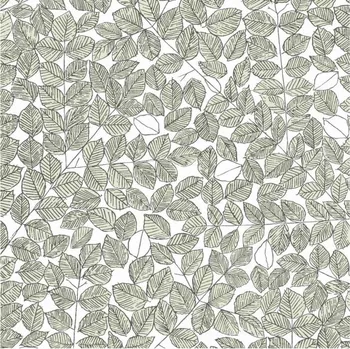 Tapeta BorasTapeter Tapeta Romans 1769