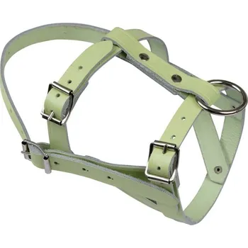 Chov hospodářského zvířete Ohlávka pro ovce a berany